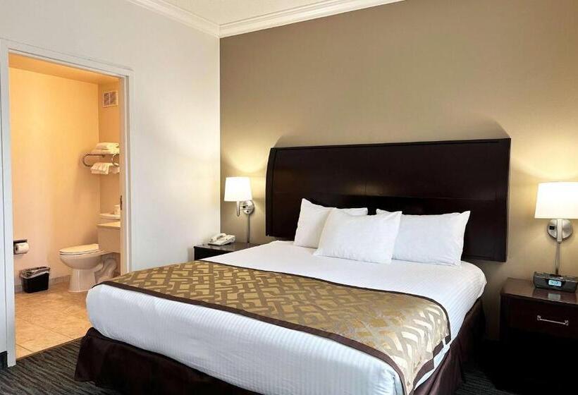 호텔 Chicago South Loop