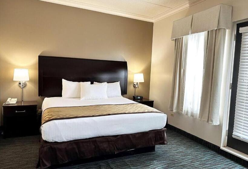 호텔 Chicago South Loop