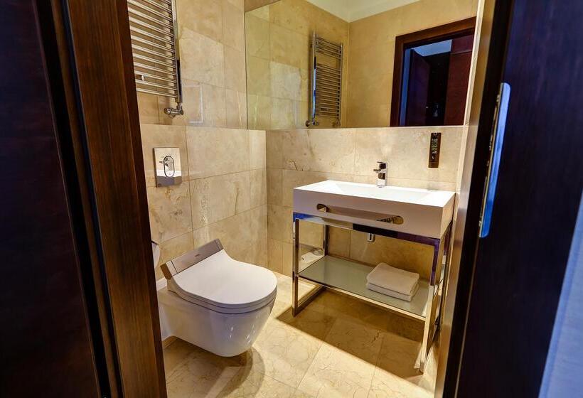 هتل Copernicus Toruń