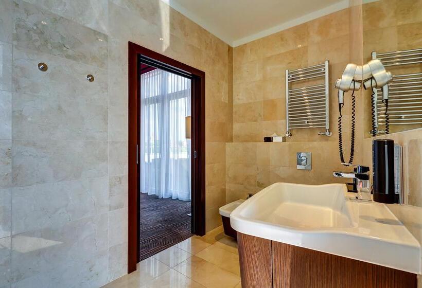 هتل Copernicus Toruń