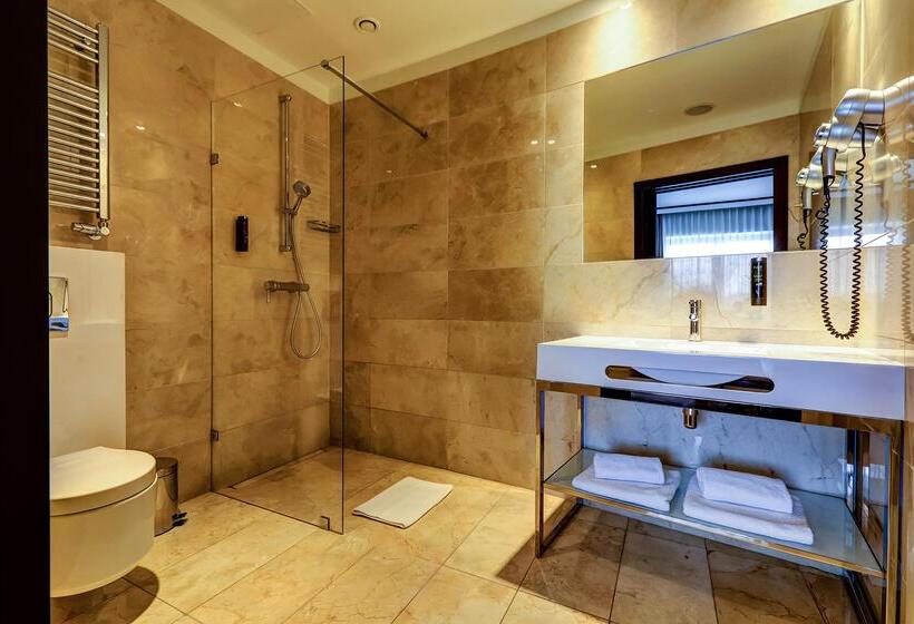 هتل Copernicus Toruń