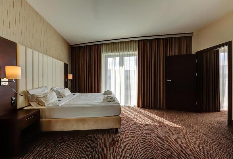 هتل Copernicus Toruń