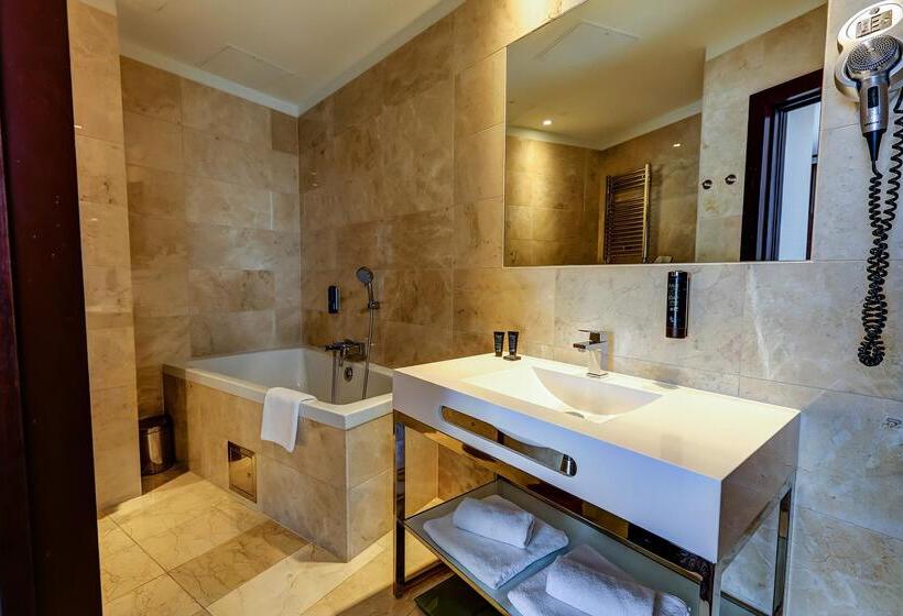 هتل Copernicus Toruń