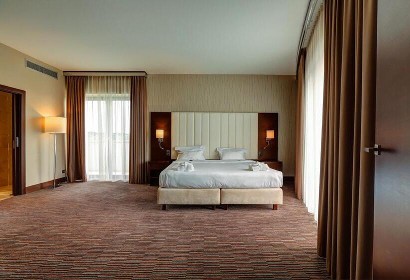 هتل Copernicus Toruń