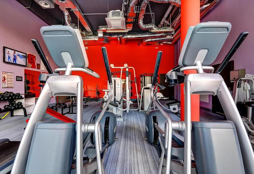 هتل Copernicus Toruń