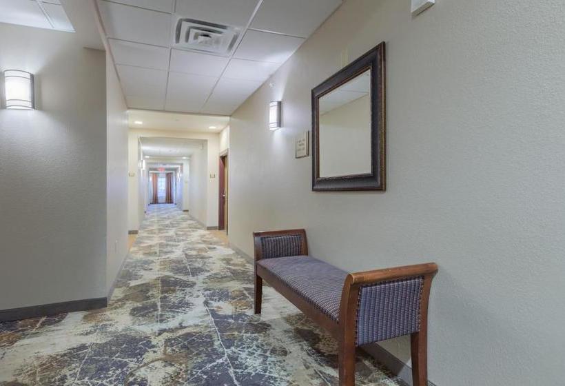 בית מלון כפרי Country Inn & Suites By Radisson, San Marcos, Tx