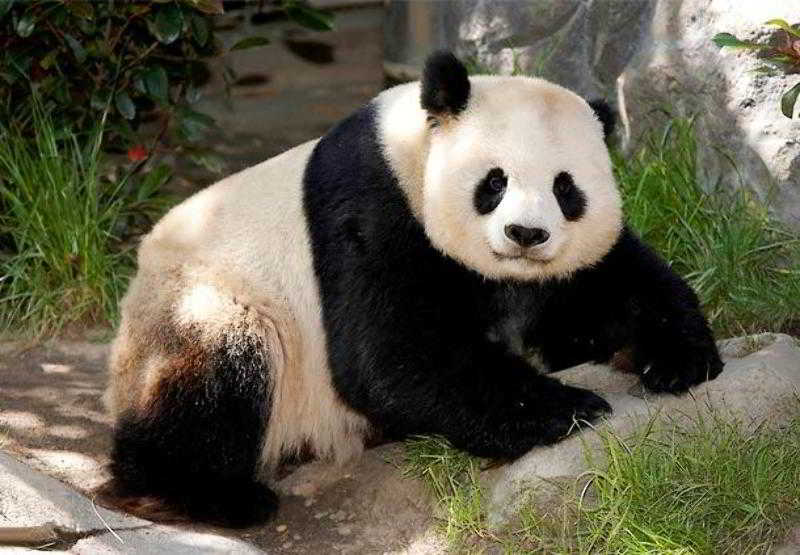 בית מלון כפרי Courtyard San Diego Airport/liberty Station