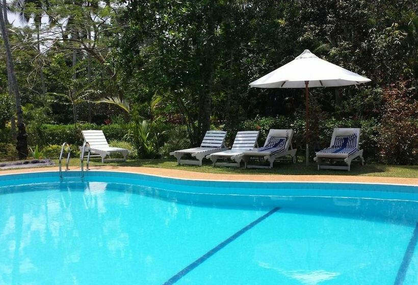 Отель Dalmanuta Gardens