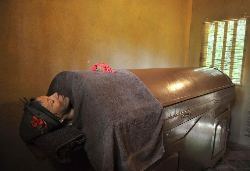 Отель Dalmanuta Gardens