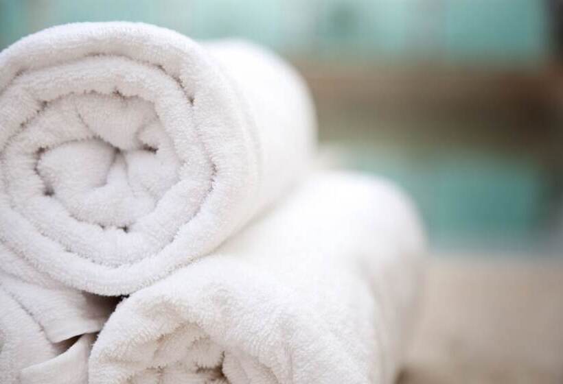 فندق Fiesta Inn Puebla Las Animas