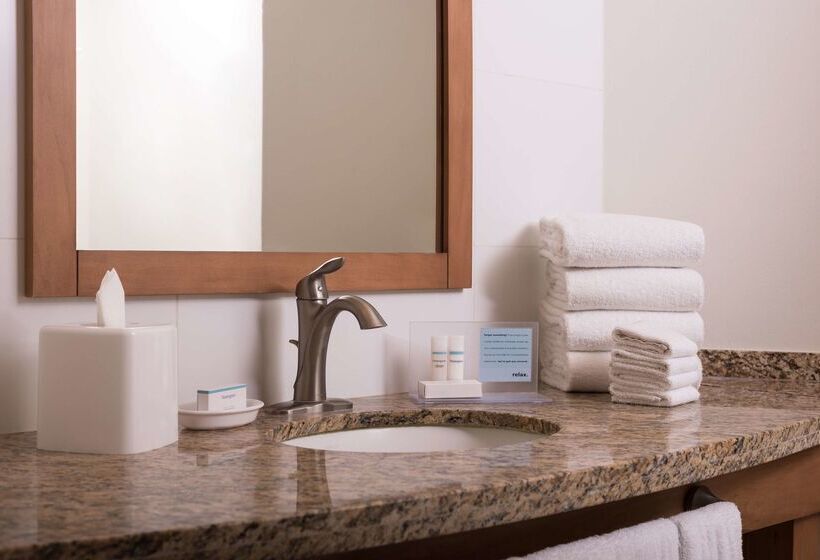 酒店 Hampton Inn By Hilton Guadalajara/expo