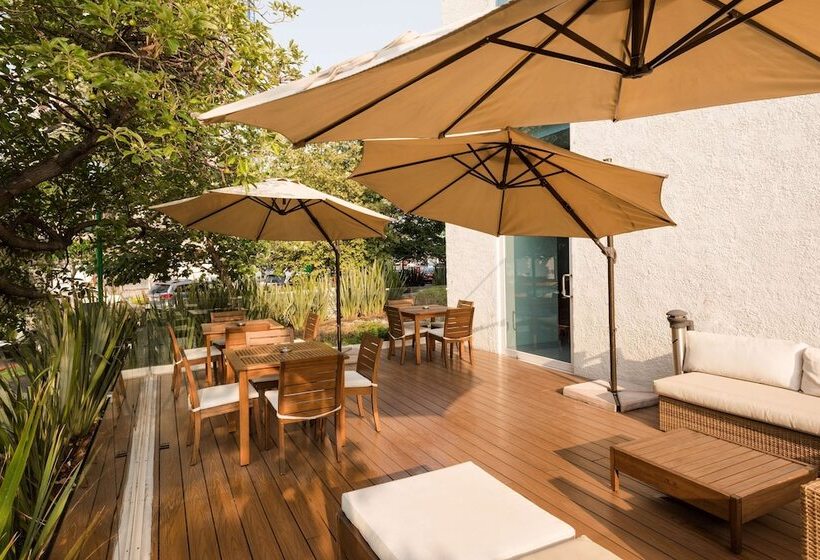 酒店 Hampton Inn By Hilton Guadalajara/expo