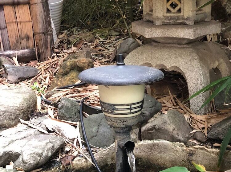 Отель International Guest House Tani House