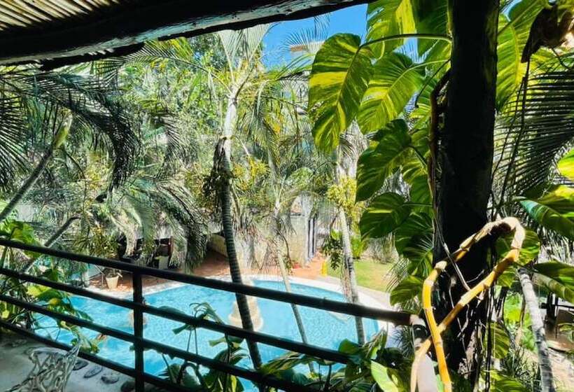 Mayan Art Hotel 10 Avenue