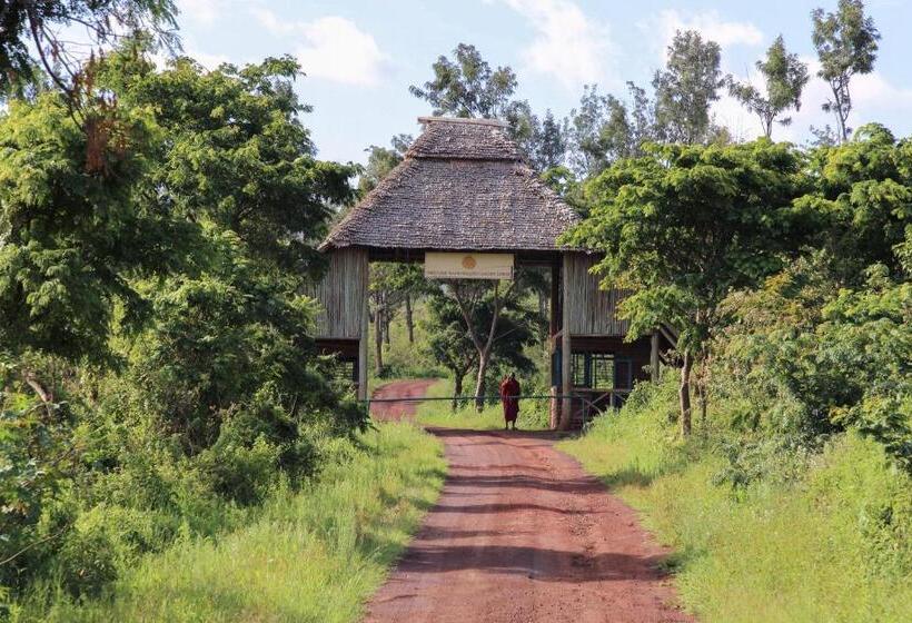 ホテル Neptune Ngorongoro Luxury Lodge   All Inclusive