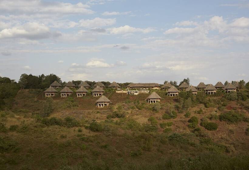 ホテル Neptune Ngorongoro Luxury Lodge   All Inclusive