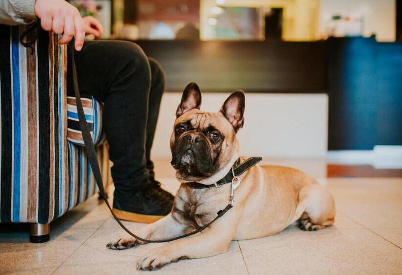 בית מלון כפרי O3zone