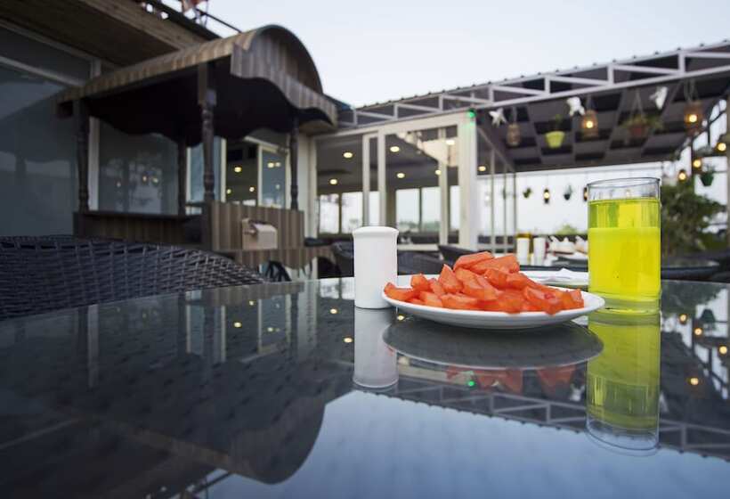 Отель Trimrooms Palm D Or