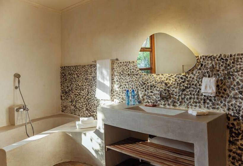 هتل Arusha Planet Lodge