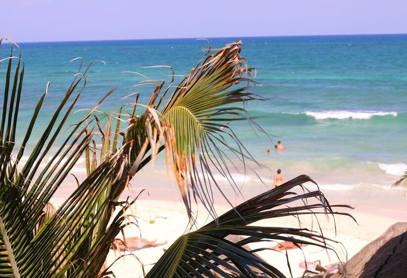 ホテル Punta Piedra Beach Posada