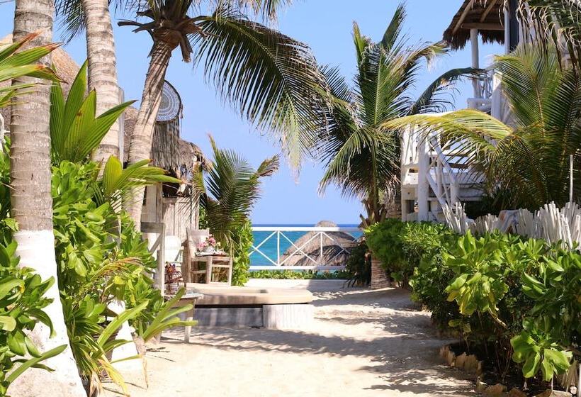 ホテル Punta Piedra Beach Posada