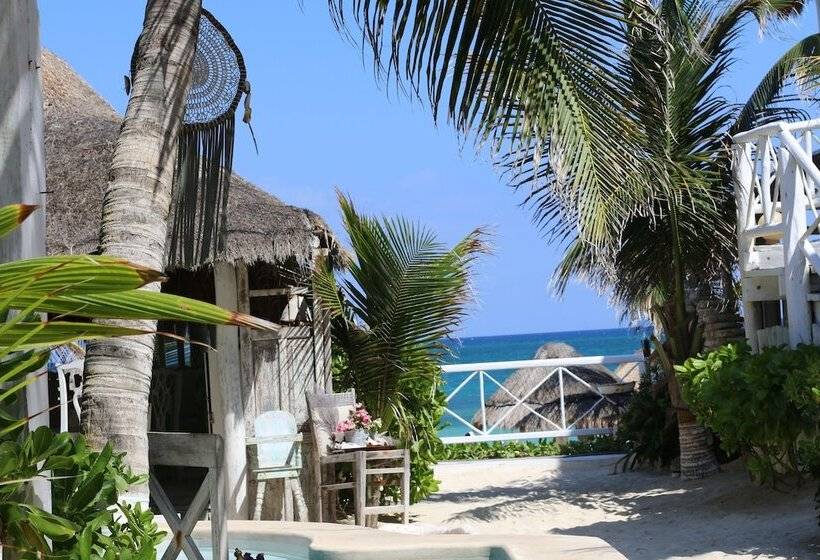 בית מלון כפרי Punta Piedra Beach Posada