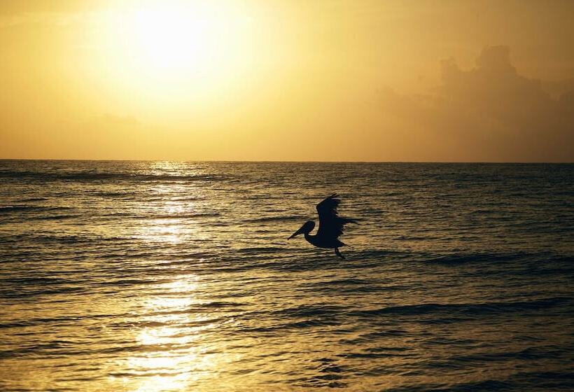 ホテル Punta Piedra Beach Posada