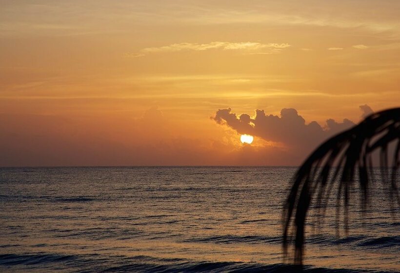 בית מלון כפרי Punta Piedra Beach Posada