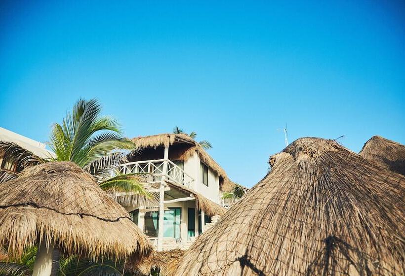 ホテル Punta Piedra Beach Posada