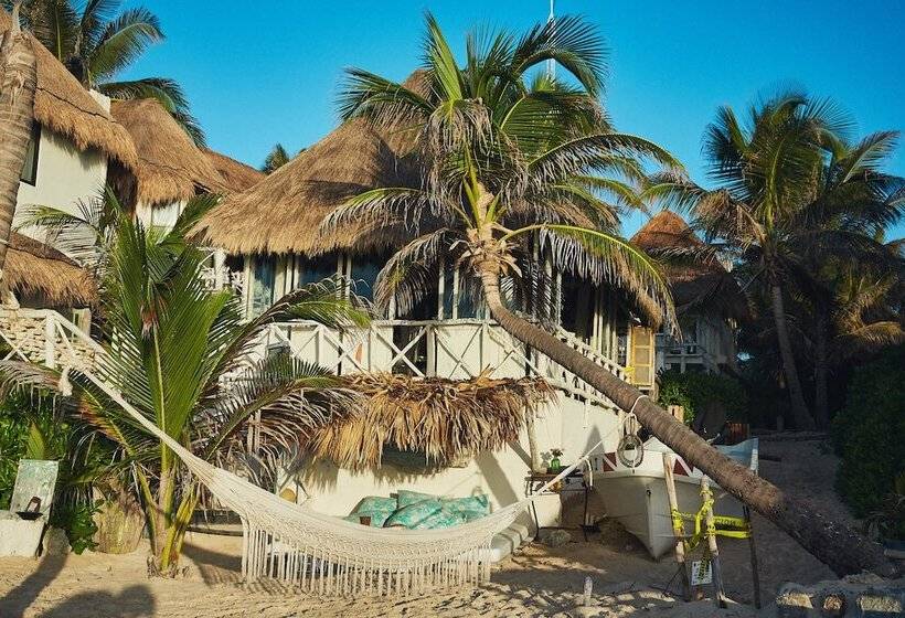 ホテル Punta Piedra Beach Posada