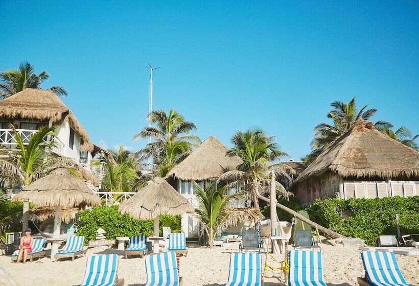 ホテル Punta Piedra Beach Posada