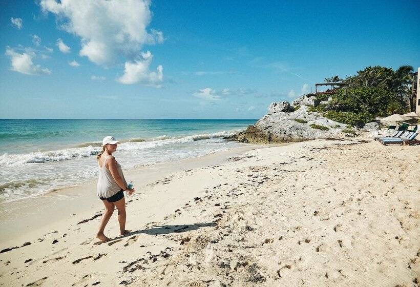 فندق Punta Piedra Beach Posada