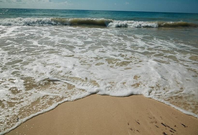 ホテル Punta Piedra Beach Posada