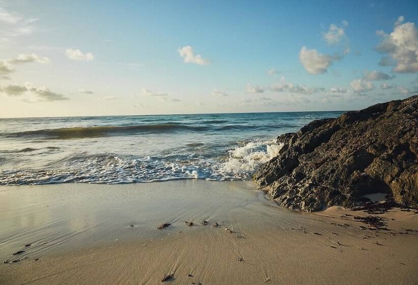 ホテル Punta Piedra Beach Posada