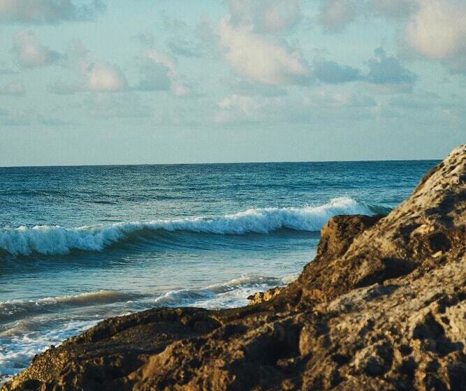 فندق Punta Piedra Beach Posada