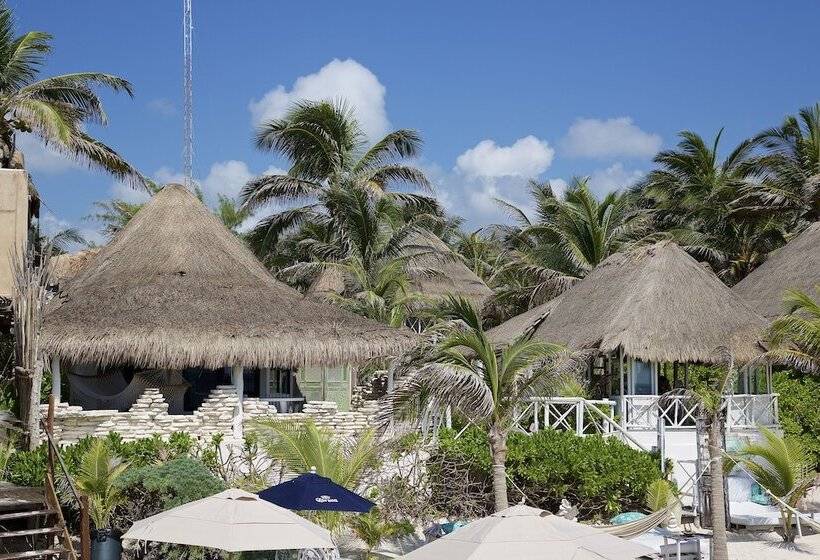 ホテル Punta Piedra Beach Posada