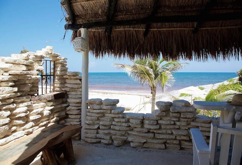 호텔 Punta Piedra Beach Posada