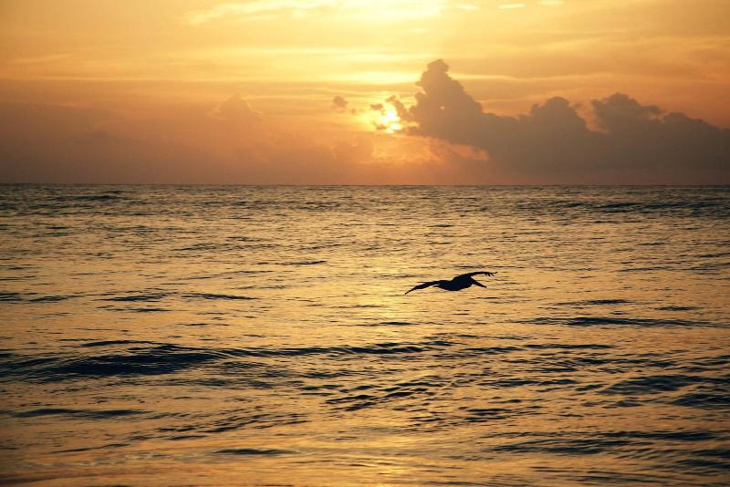 ホテル Punta Piedra Beach Posada