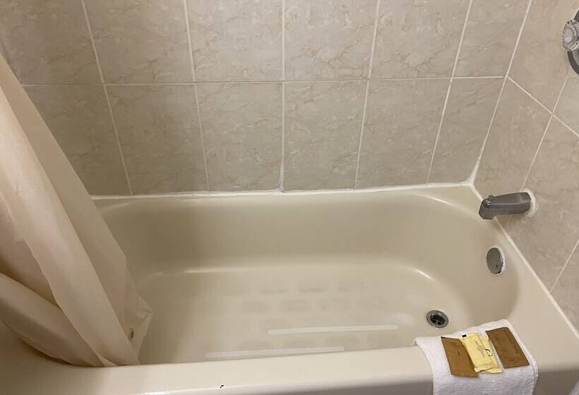 酒店 Red Carpet Inn & Suites