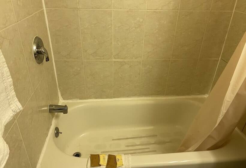 酒店 Red Carpet Inn & Suites