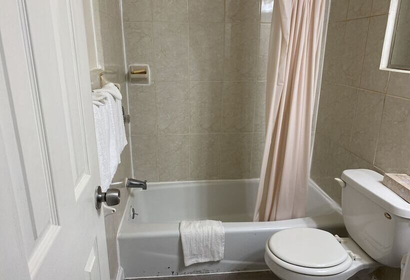 酒店 Red Carpet Inn & Suites