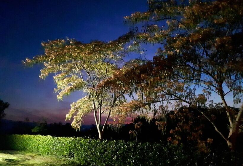 乡村酒店  Agriturismo Antico Borgo Poggitazzi