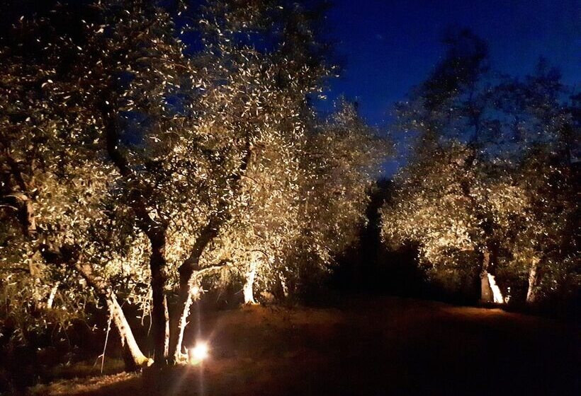 乡村酒店  Agriturismo Antico Borgo Poggitazzi