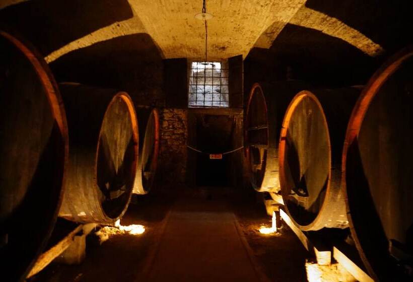 乡村酒店  Agriturismo Antico Borgo Poggitazzi