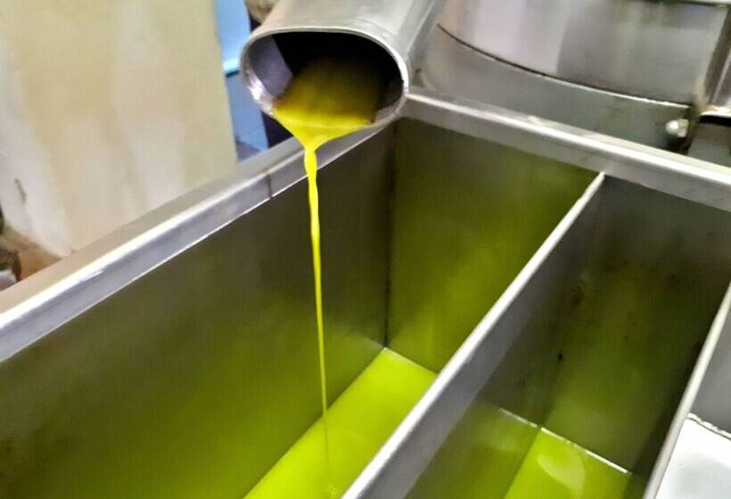 乡村酒店  Agriturismo Antico Borgo Poggitazzi