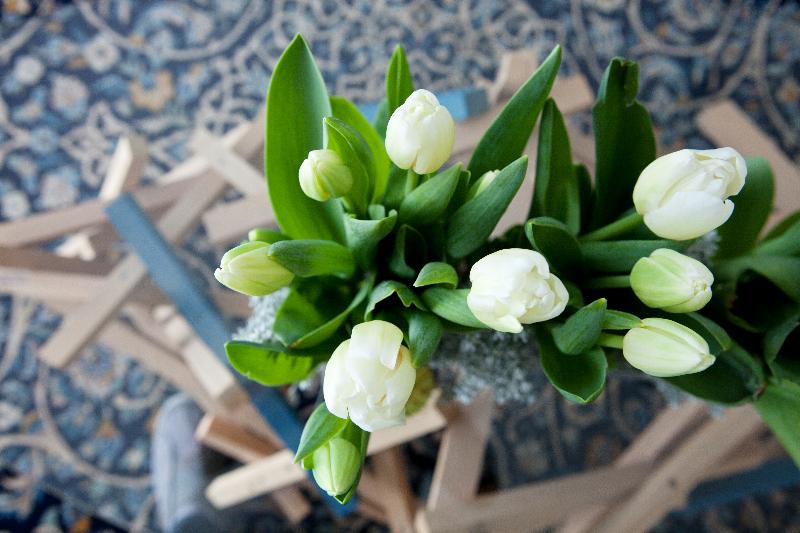 酒店 The Diaghilev Live Art Boutique