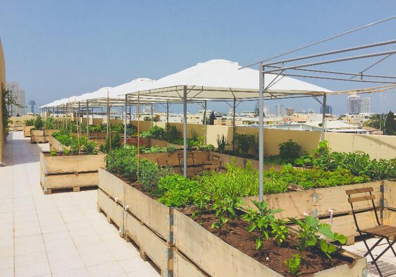 酒店 The Diaghilev Live Art Boutique