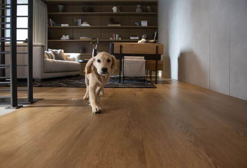 هتل The Lloyd Stamford, Tapestry Collection By Hilton