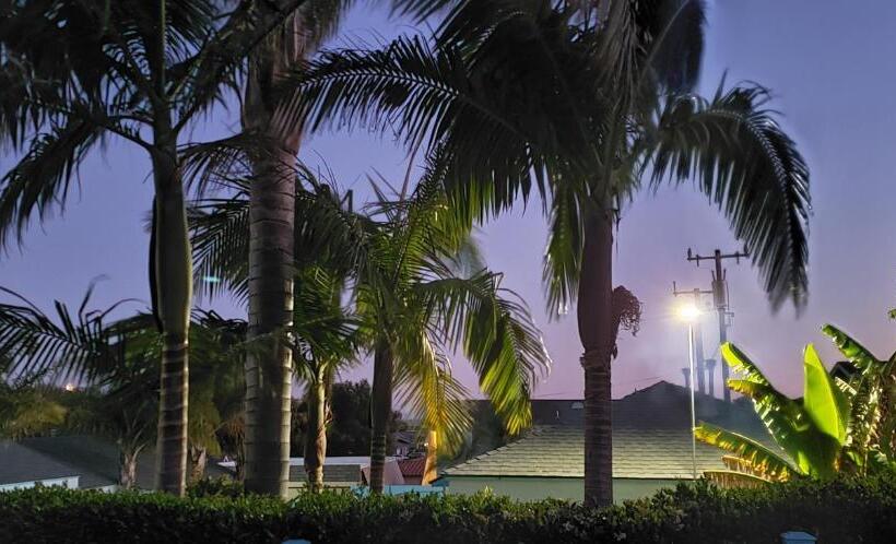 فندق The Palomar Inn