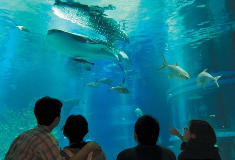 فندق Trusty Osaka Abeno